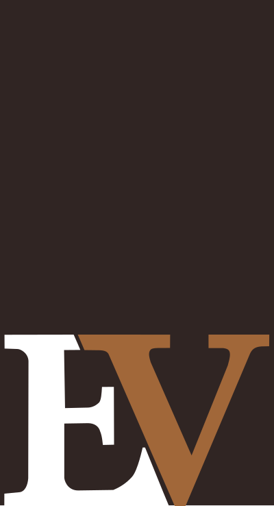 Logo EcuadorVisa's logo